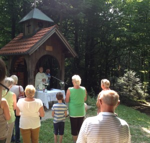Gorščica 5 8 2015 1
