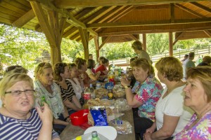 IMG_1229A