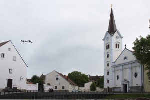 IMG_8154