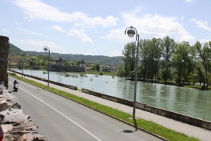 IMG_8241