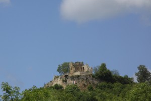IMG_8298