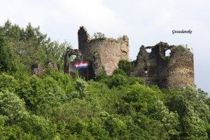 IMG_8388