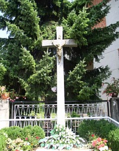kriz-bidrovec