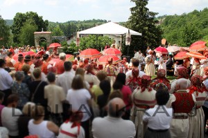 IMG_9489  