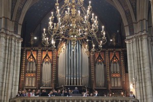 IMG_8553