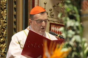 IMG_8590